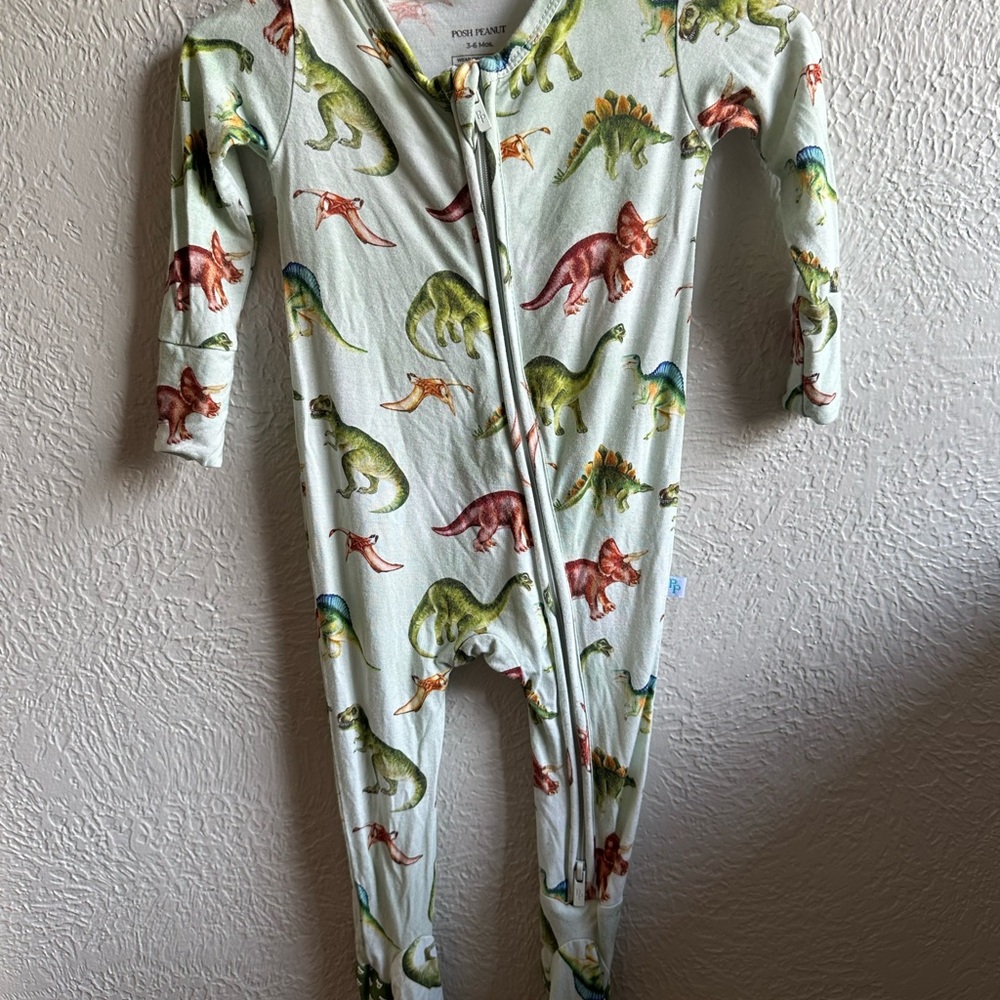 Dinosaur Print Kids One Piece